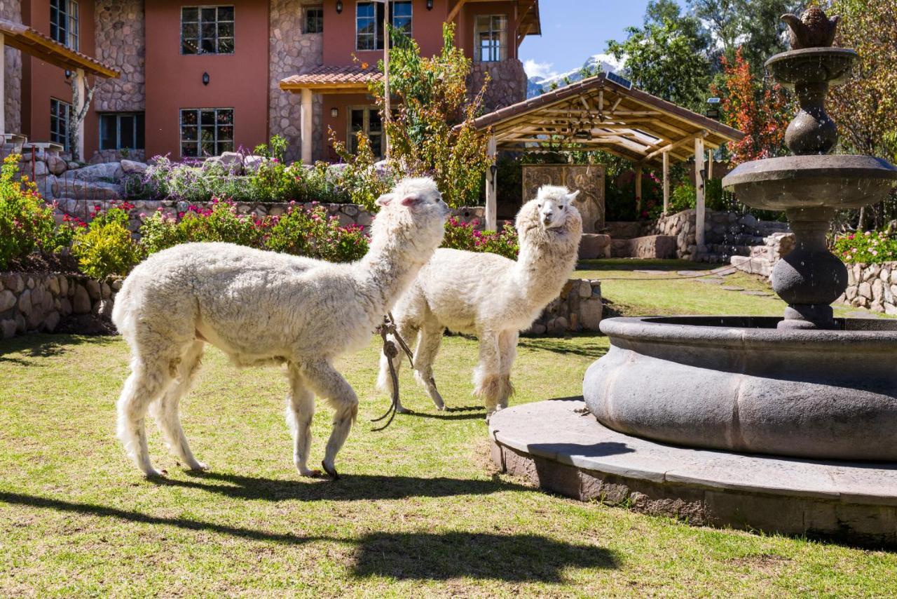Villa Apu Chicon Urubamba Εξωτερικό φωτογραφία