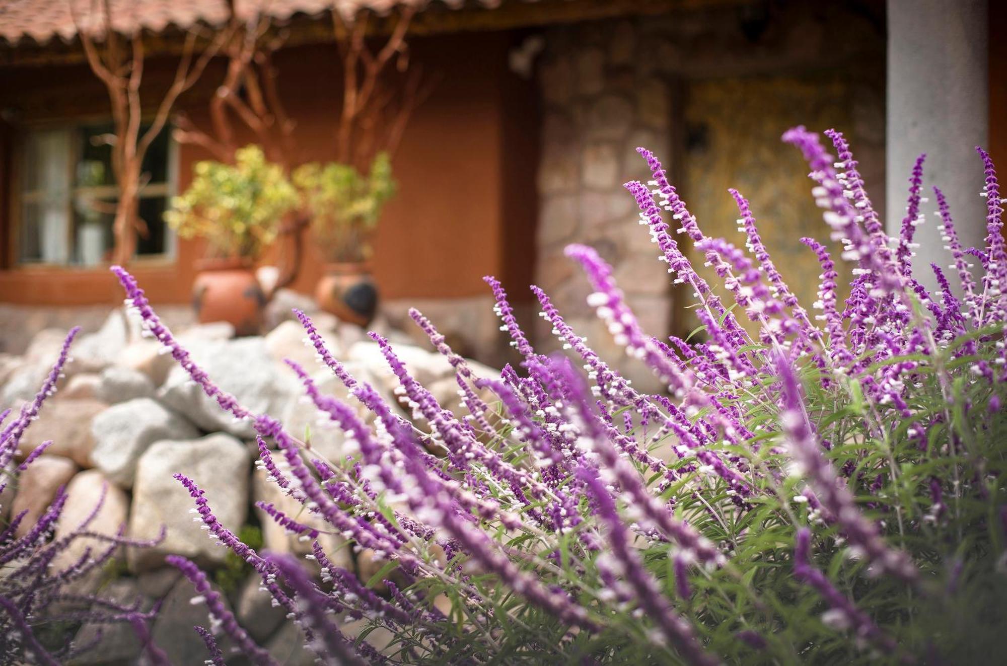 Villa Apu Chicon Urubamba Εξωτερικό φωτογραφία